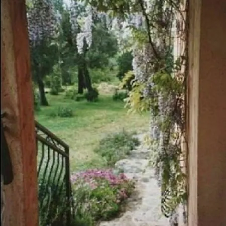 House With 3 In Porto-vecchio, With Enclosed Garden And Wifi - 5 アパート *